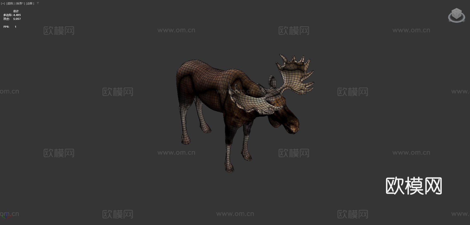 欧亚驼鹿哺乳动物低多边形3d模型下载（渲染图3）