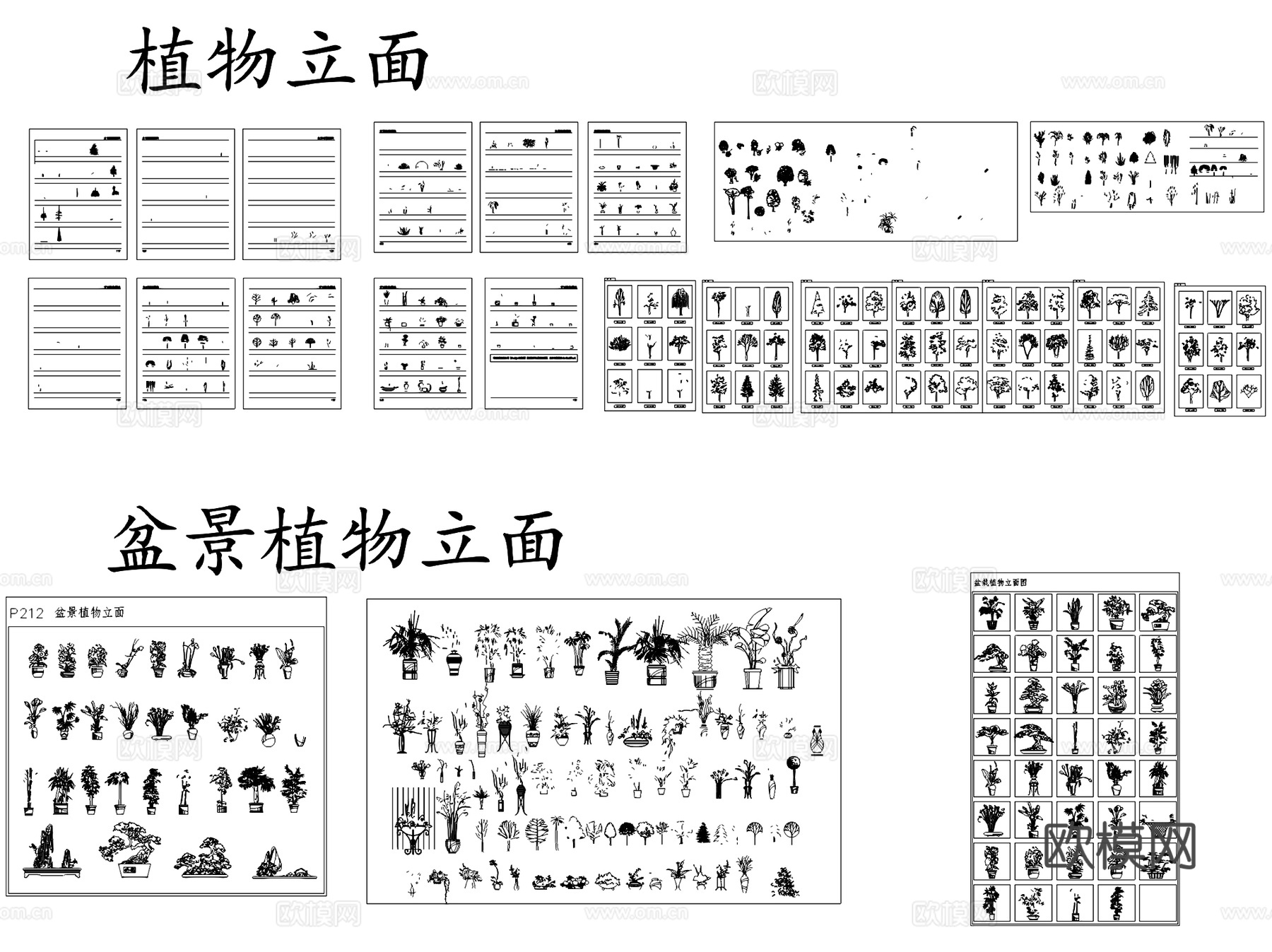 景观植物平立面图例图块图库苗木表CAD施工图集 50套cad施工图