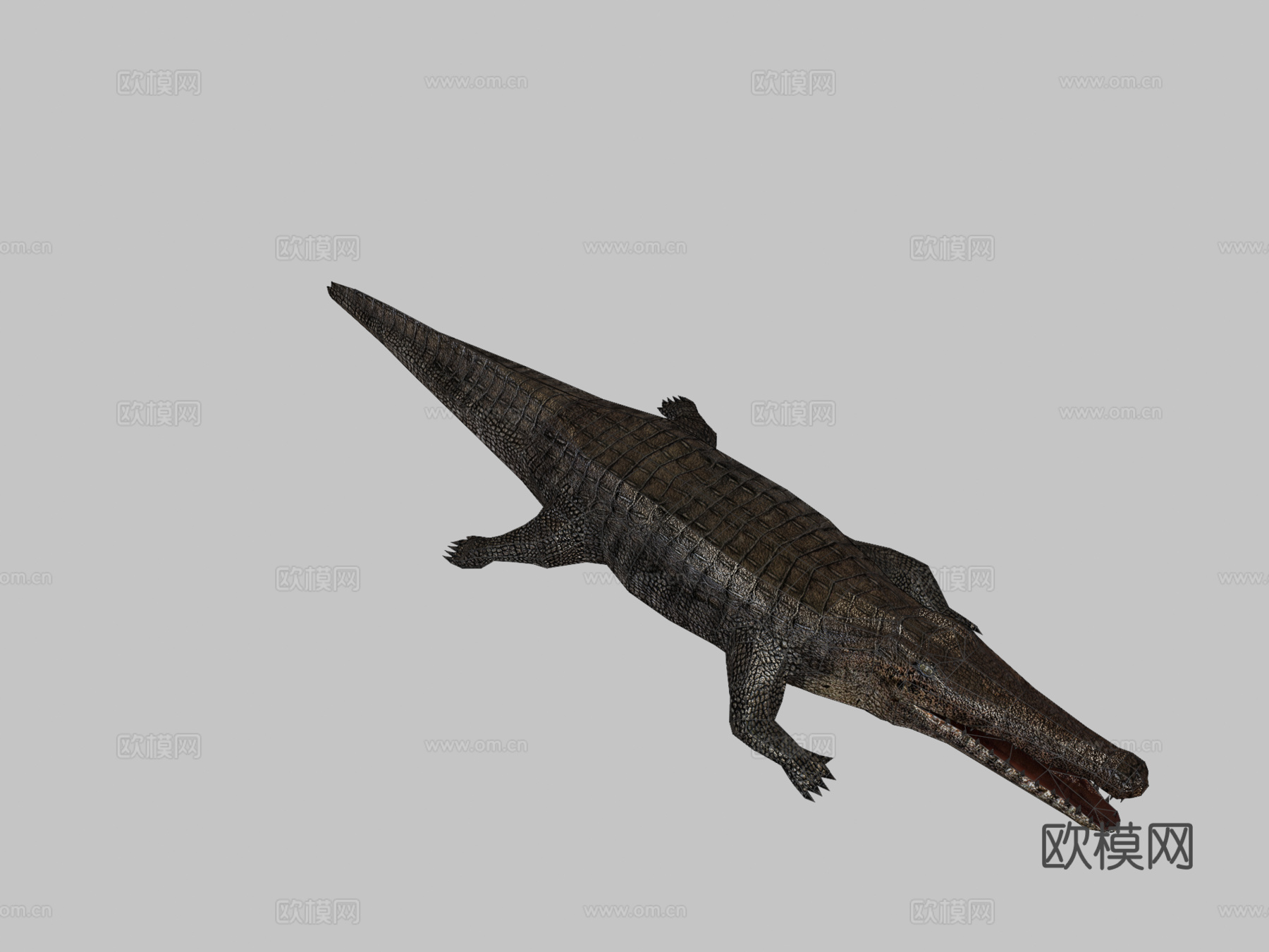 RT野生动物鳄鱼3d模型下载（渲染图3）