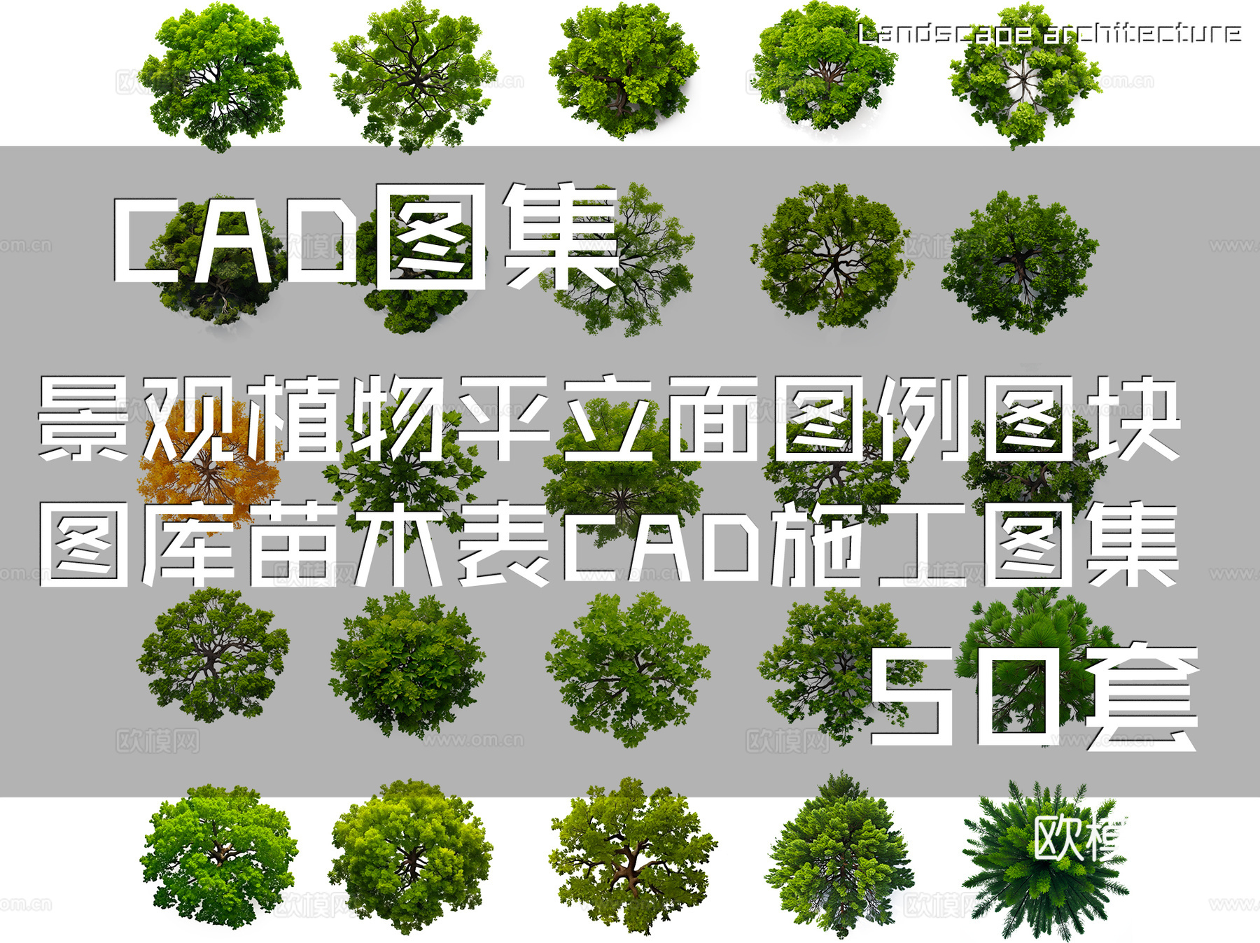 景观植物平立面图例图块图库苗木表CAD施工图集 50套cad施工图