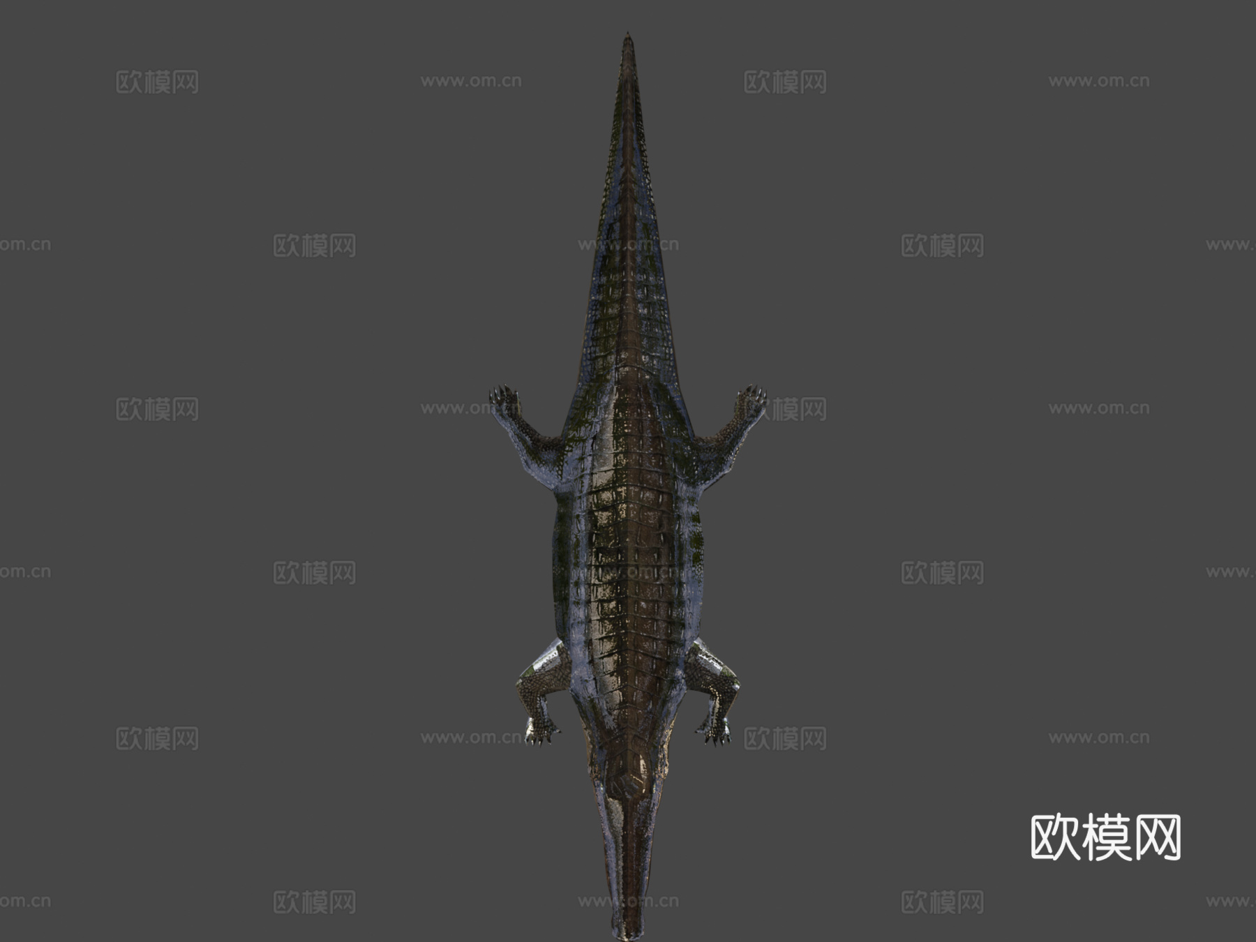 RT野生动物鳄鱼3d模型下载（渲染图7）