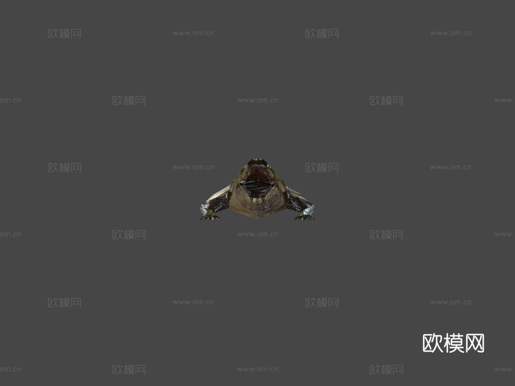 RT野生动物鳄鱼3d模型下载（渲染图5）
