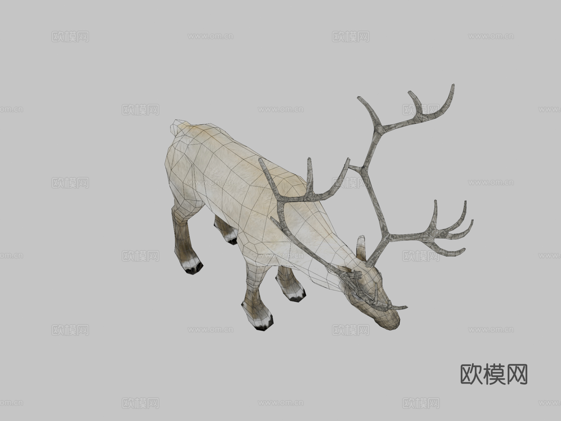低多边形写实驯鹿3d模型下载（渲染图2）
