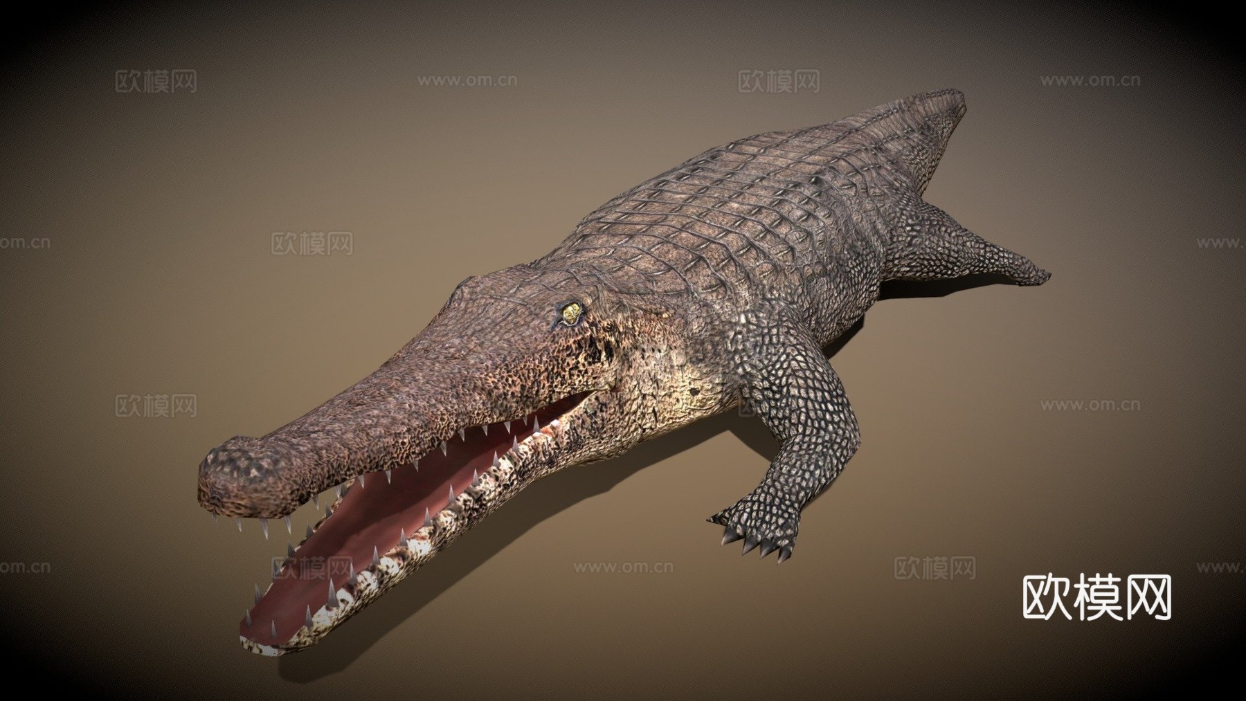 RT野生动物鳄鱼3d模型下载（渲染图1）