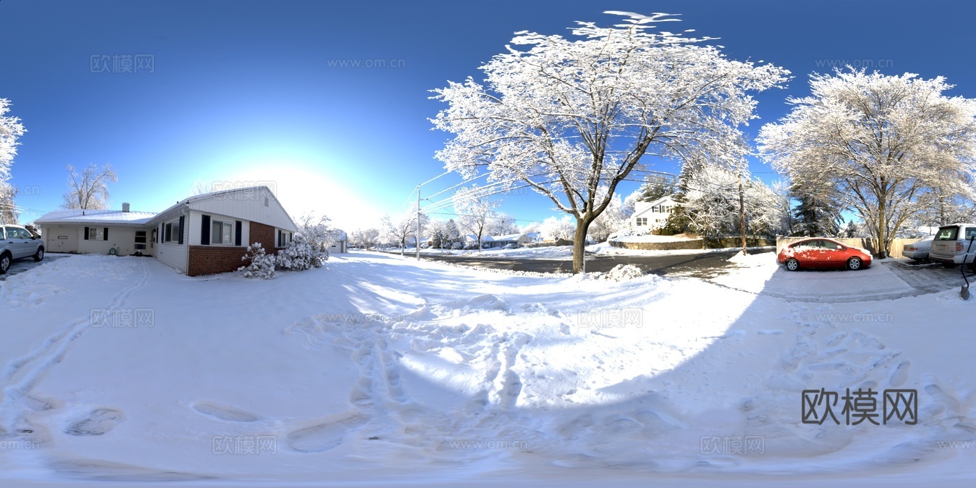 户外冬季雪地树木HDR