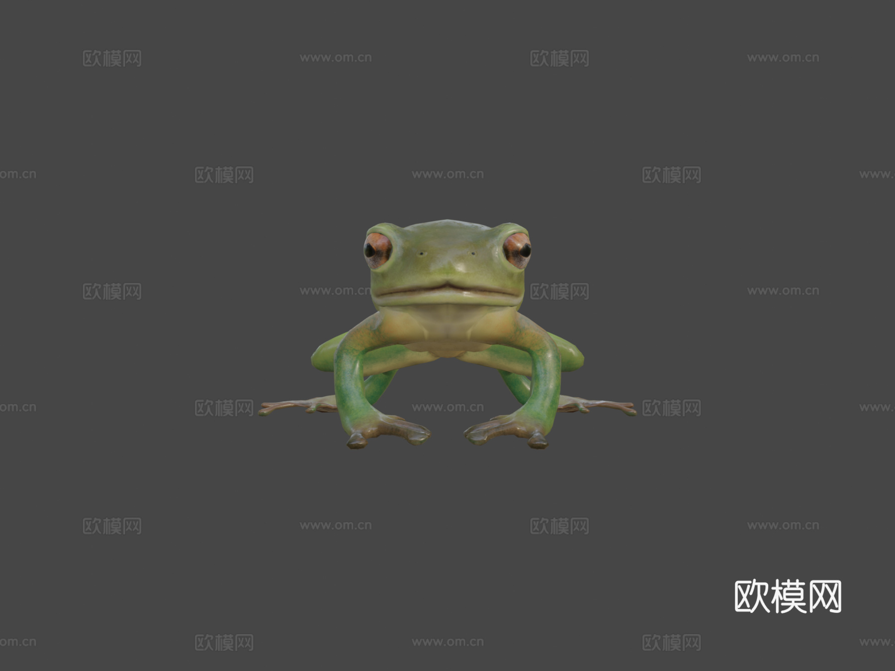 青蛙低多边形3d模型下载（渲染图5）