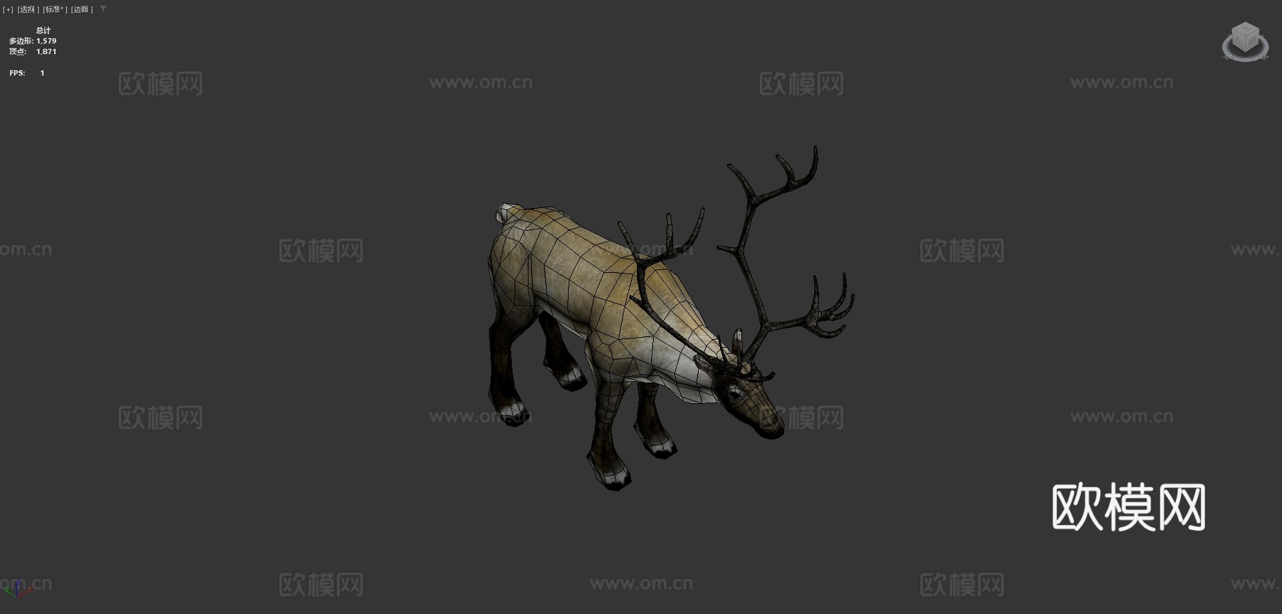低多边形写实驯鹿3d模型下载（渲染图4）