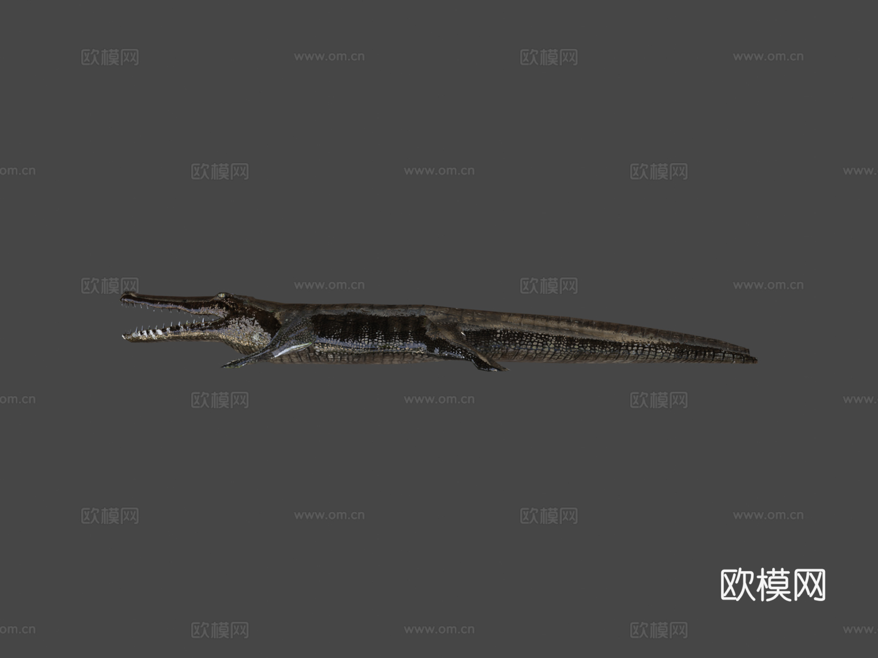 RT野生动物鳄鱼3d模型下载（渲染图6）