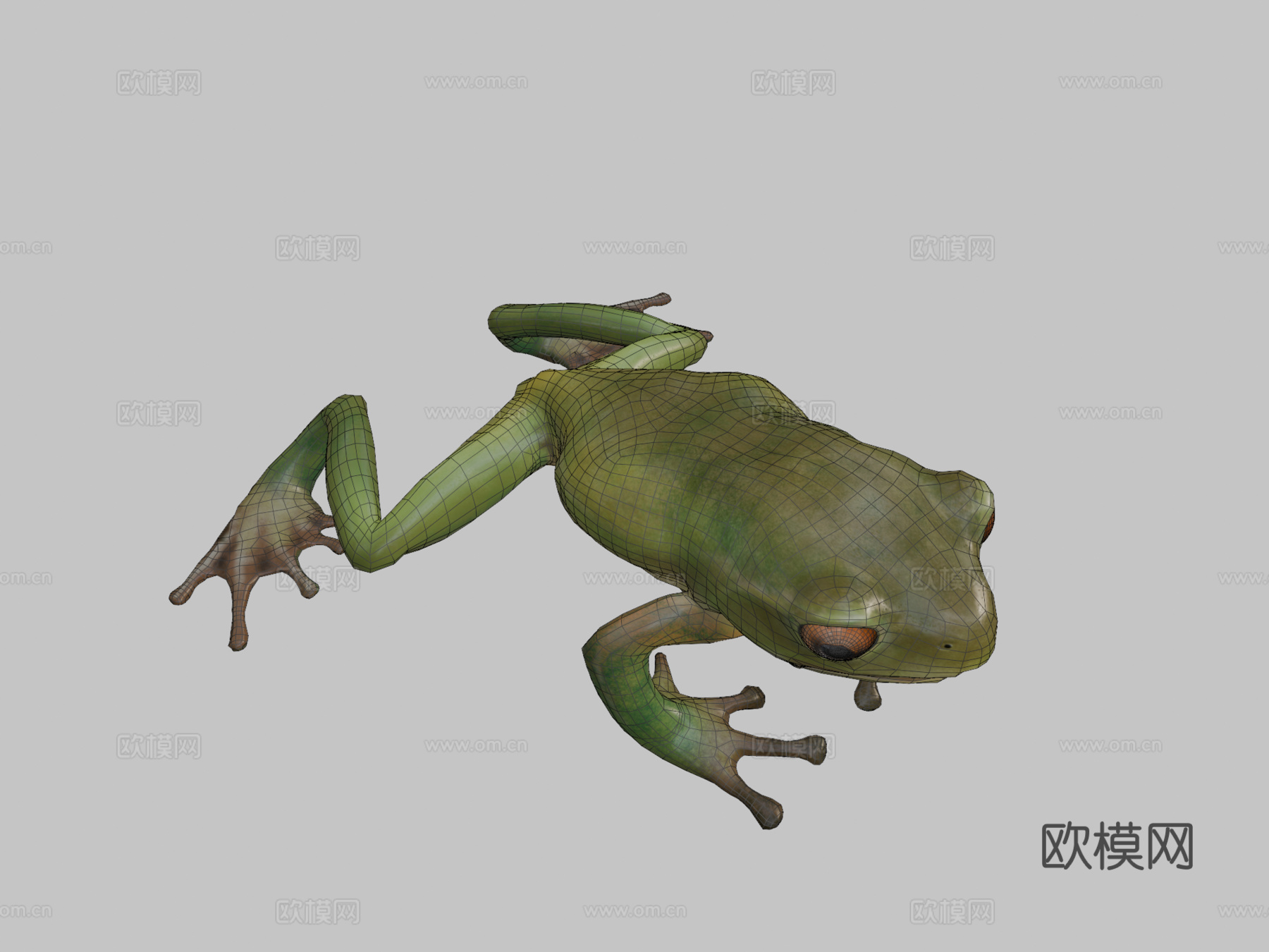 青蛙低多边形3d模型下载（渲染图2）