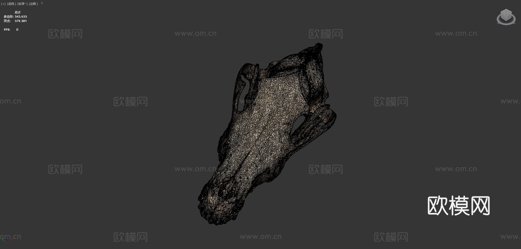 CMNH22306灰狼头骨3d模型下载（渲染图4）