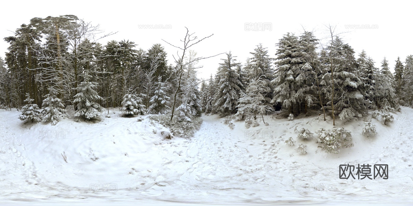 户外冬季雪地树木HDR