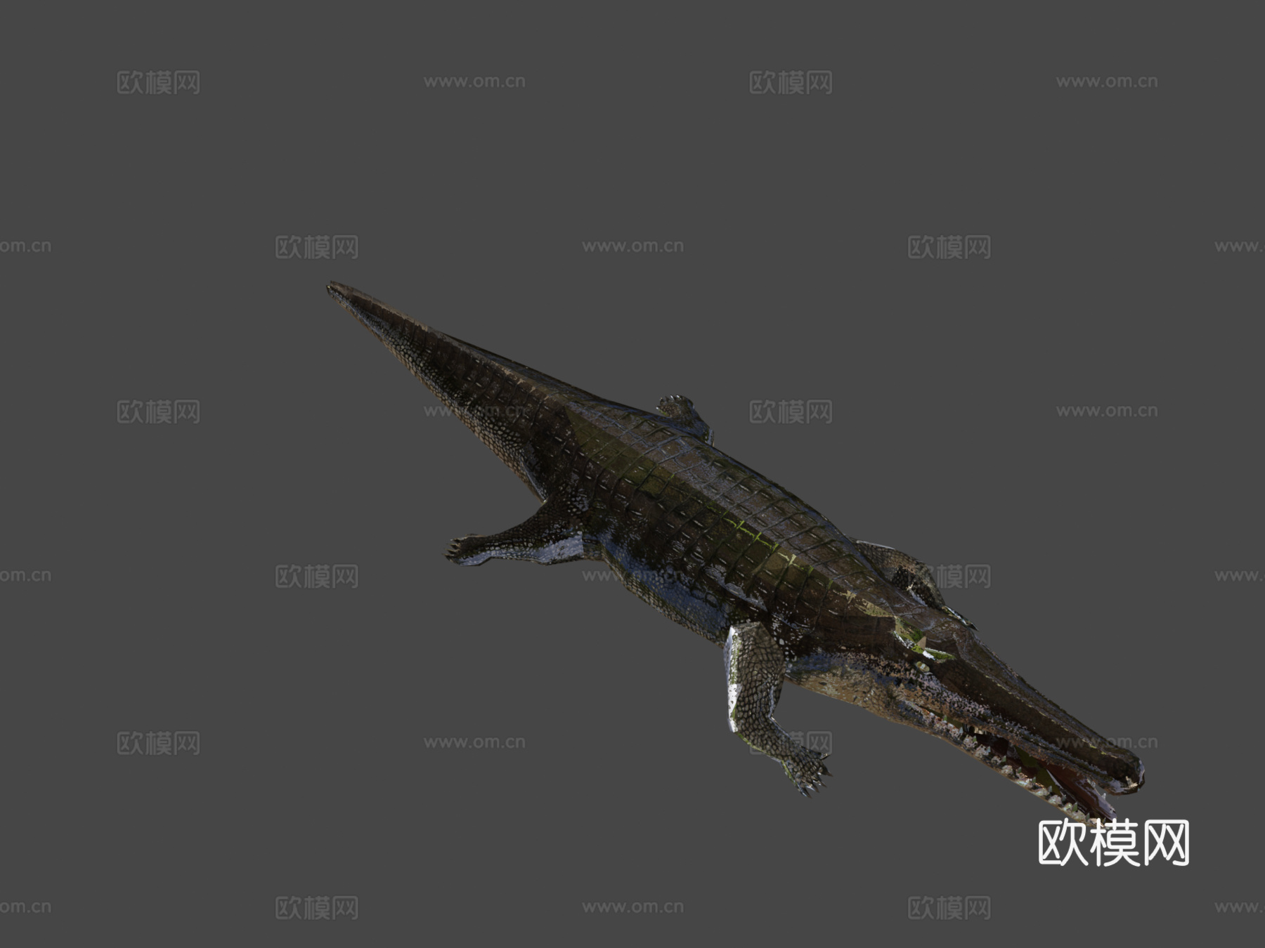 RT野生动物鳄鱼3d模型下载（渲染图8）
