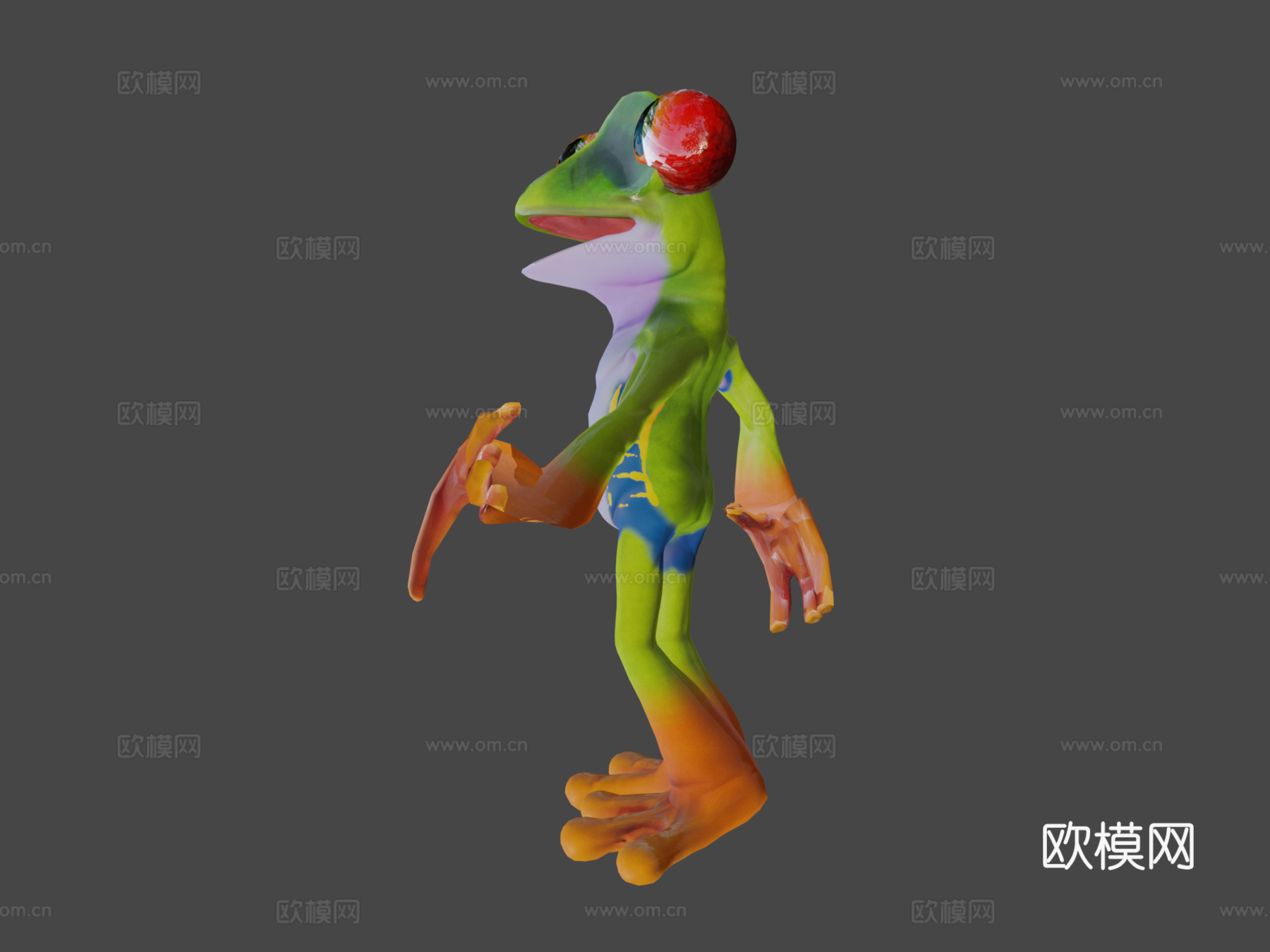 红眼树蛙托德波尔3d模型下载（渲染图6）