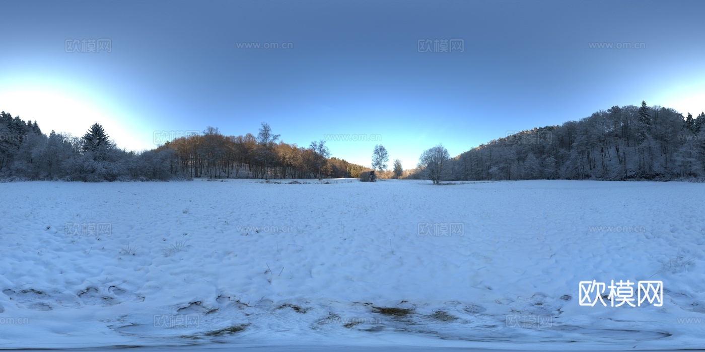 户外冬季雪地树木HDR