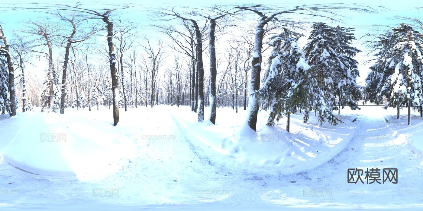 户外雪地晴天树木树林HDR