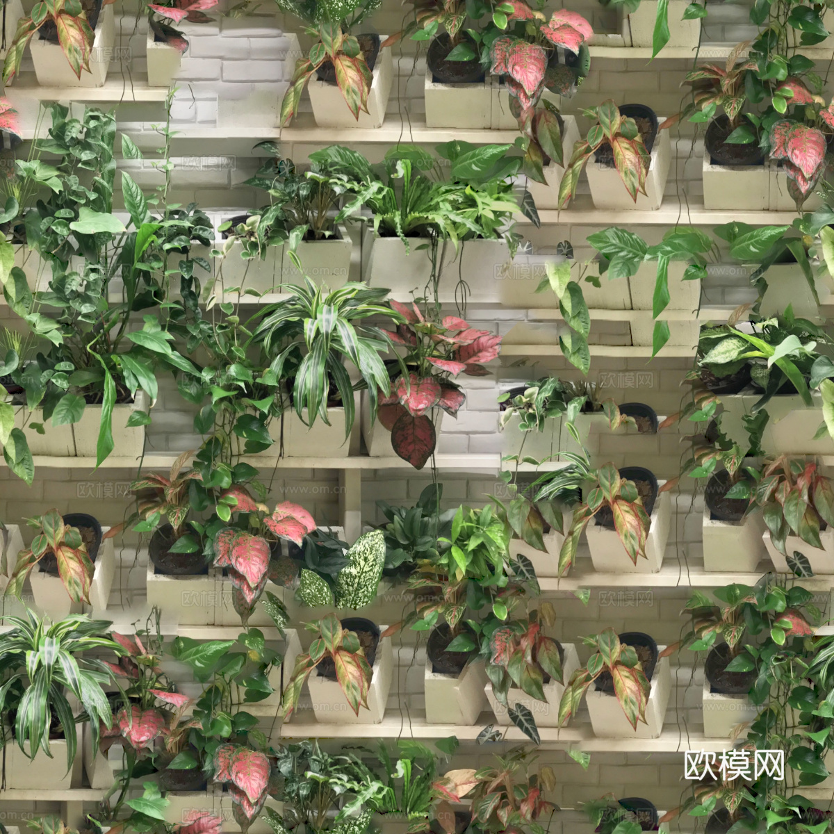 垂直绿植墙，生态绿植墙绿化墙148