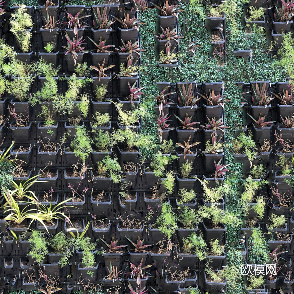 垂直绿植墙，生态绿植墙绿化墙160
