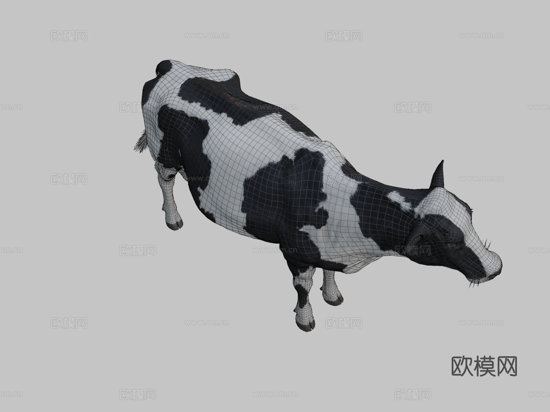 奶牛美丽动物nyilonelycompanytheappgo3d模型下载（渲染图2）