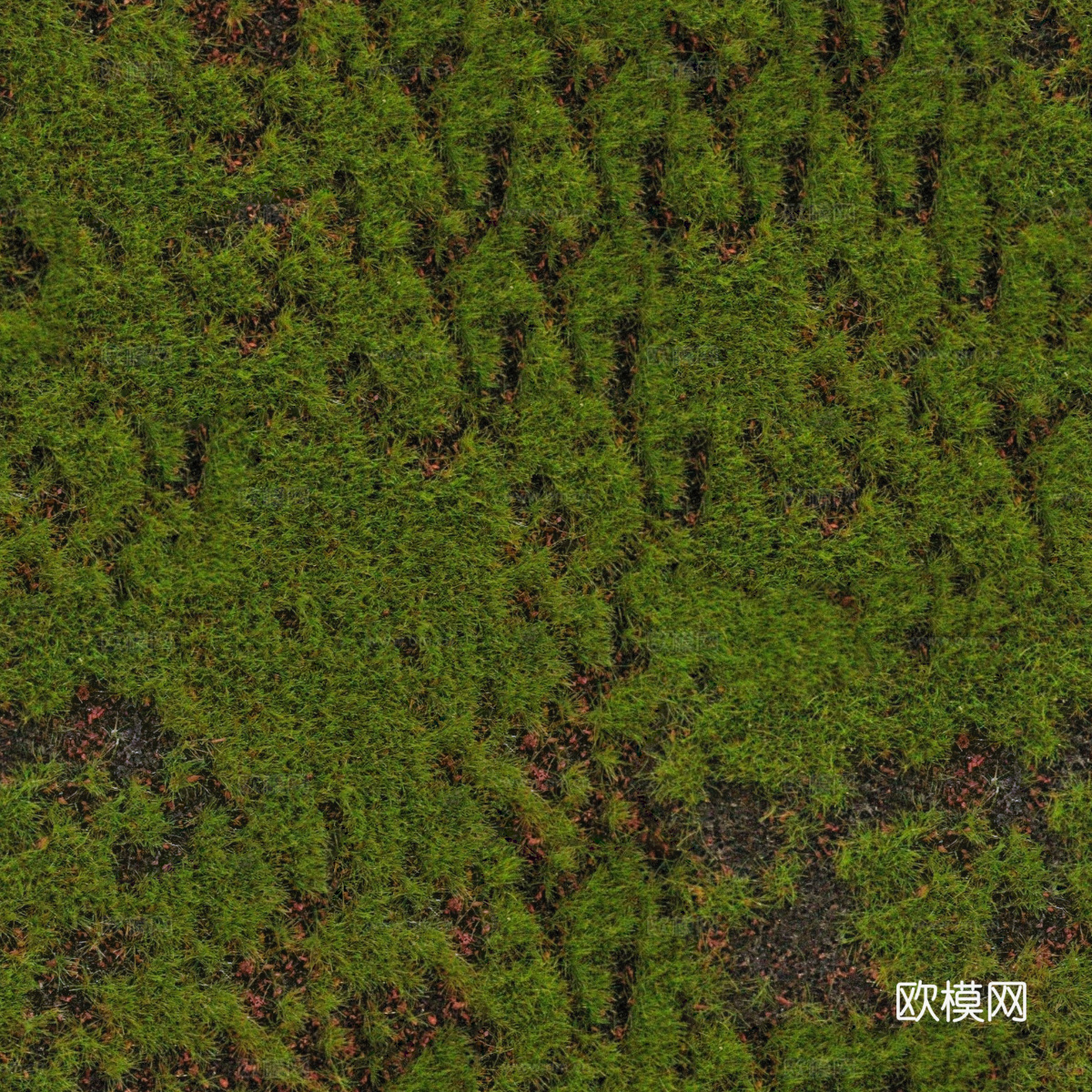 垂直绿植墙，生态绿植墙绿化墙239下载