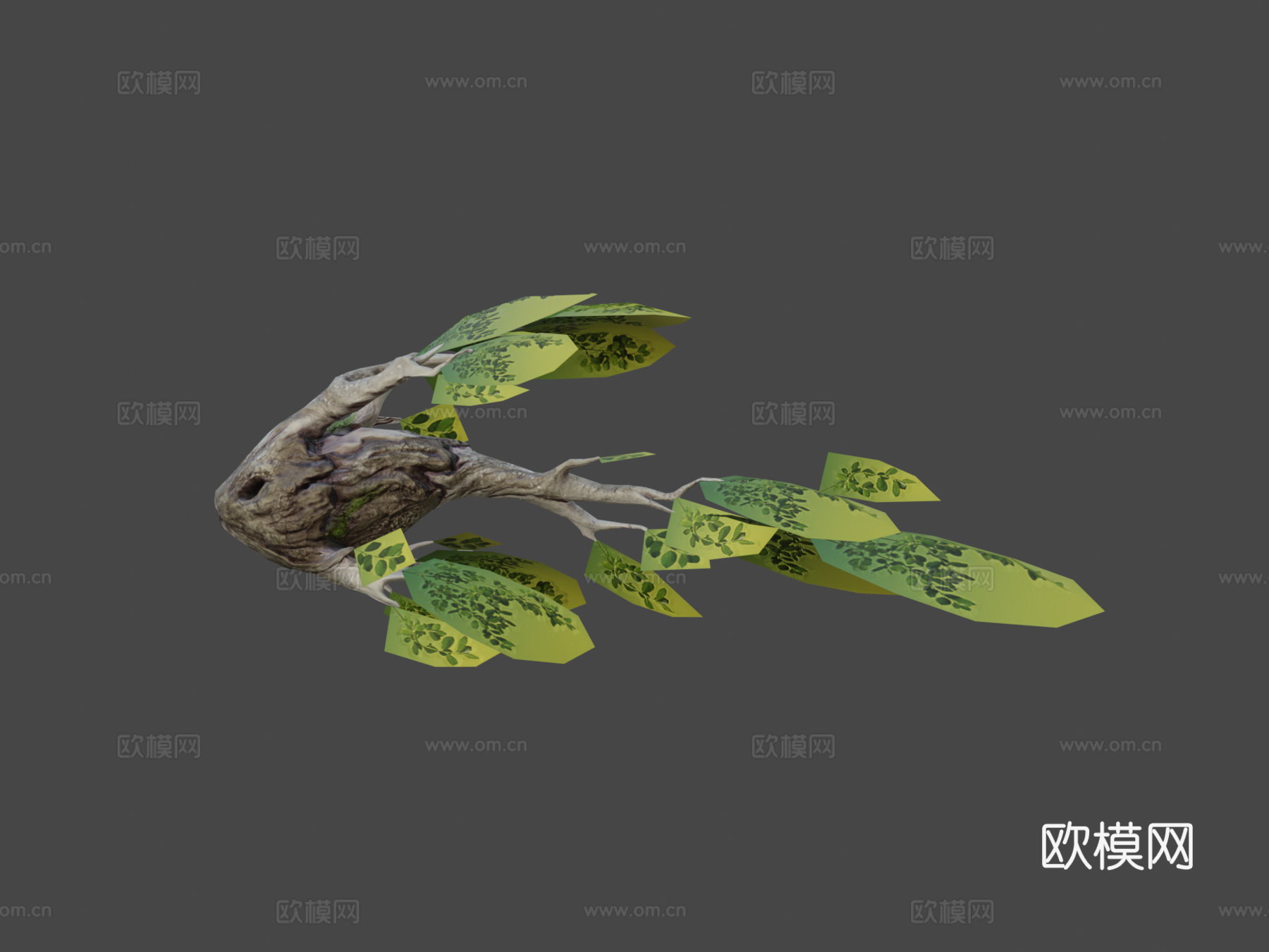 森林鱼3d模型下载（渲染图7）