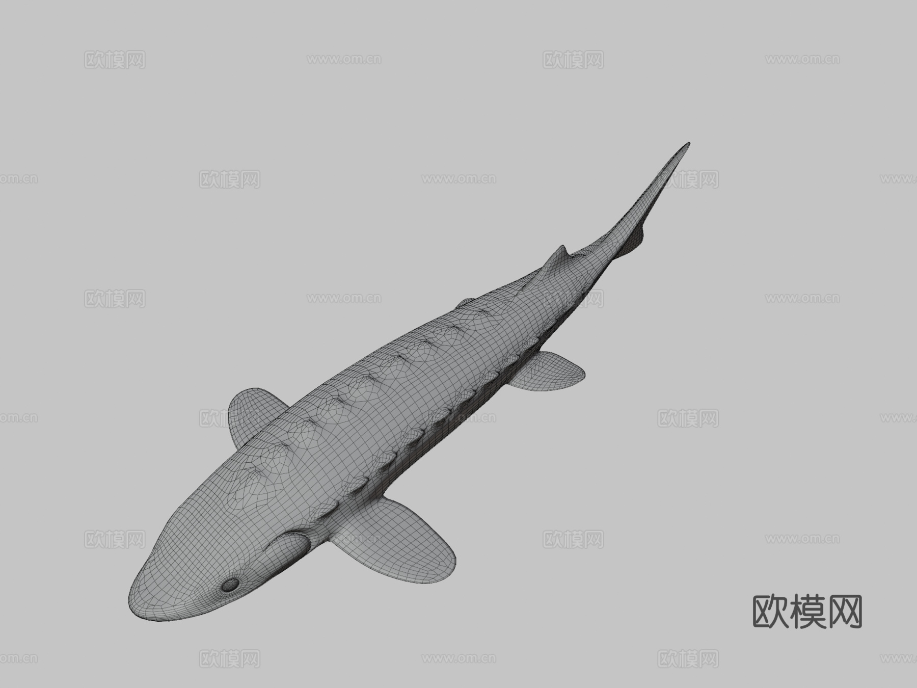 鲟鱼船3d模型下载（渲染图3）