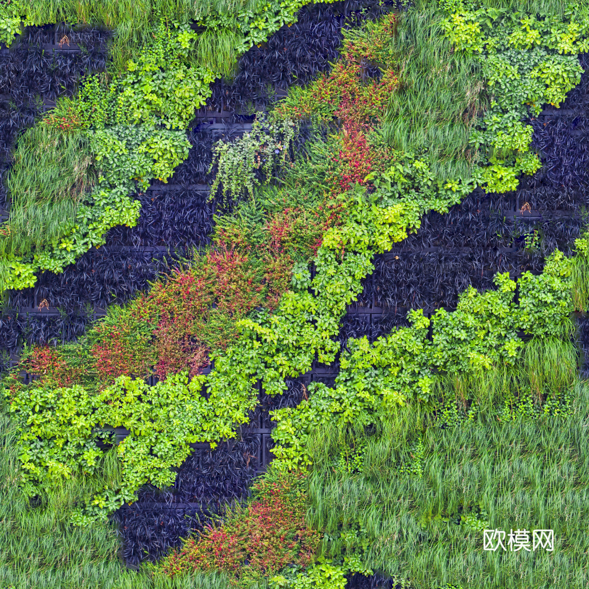 垂直绿植墙，生态绿植墙绿化墙115