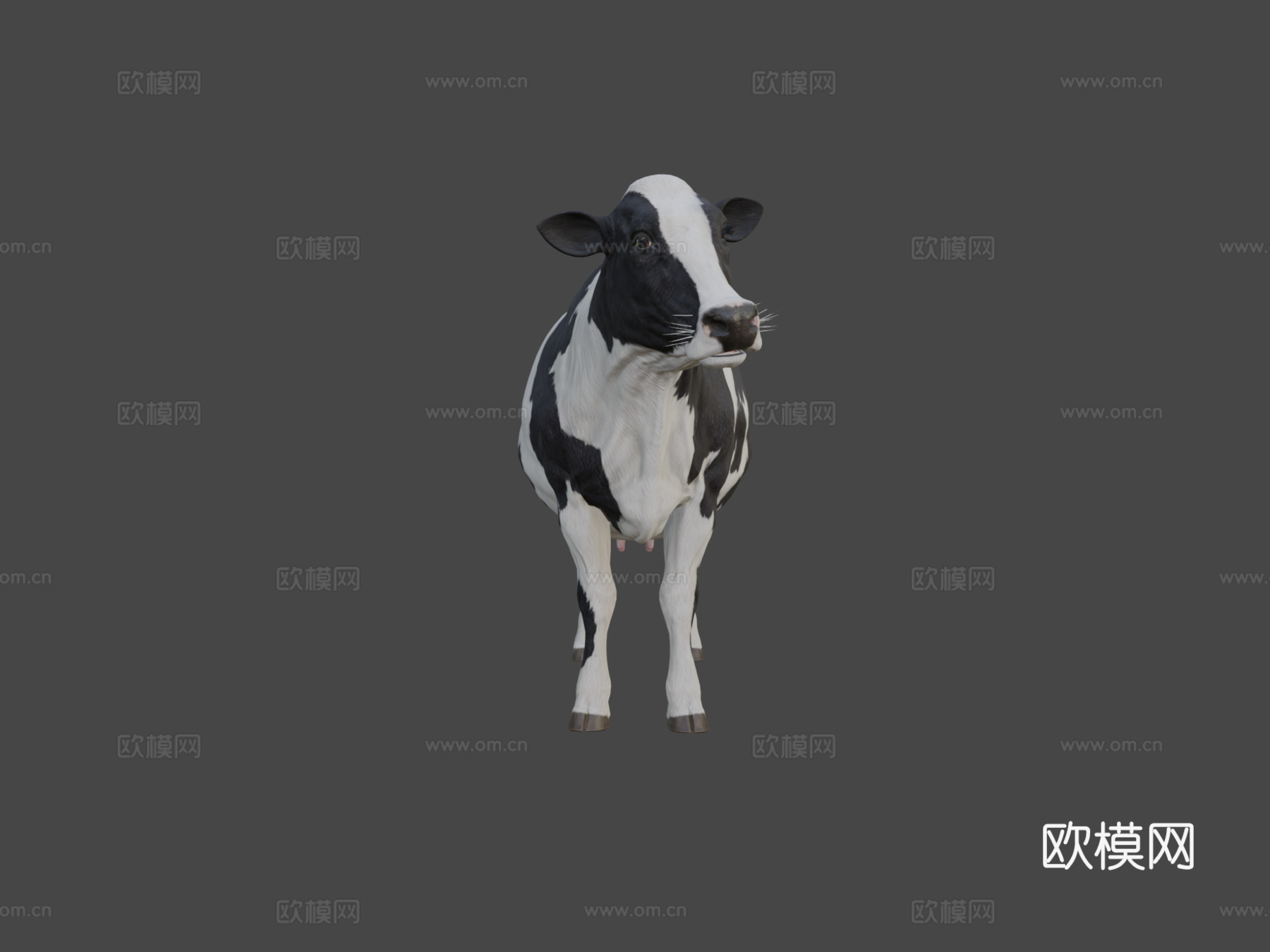 奶牛美丽动物nyilonelycompanytheappgo3d模型下载（渲染图5）