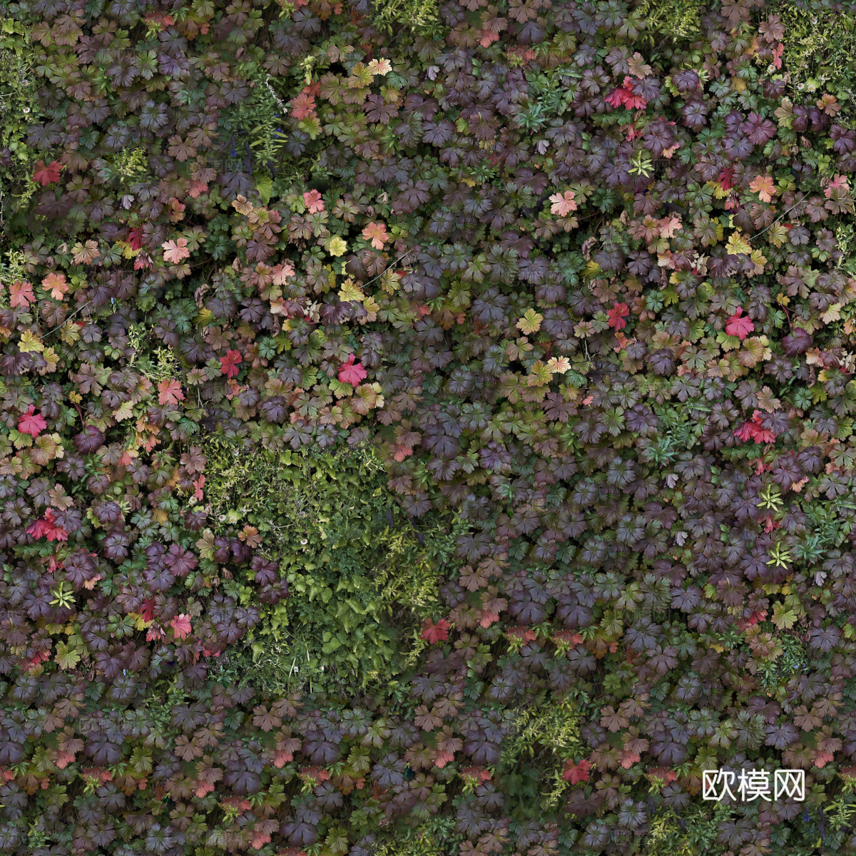 垂直绿植墙，生态绿植墙绿化墙143