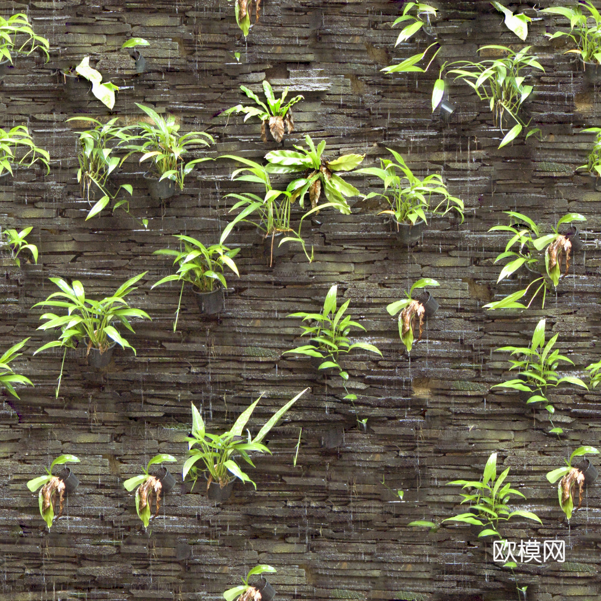 垂直绿植墙，生态绿植墙绿化墙113