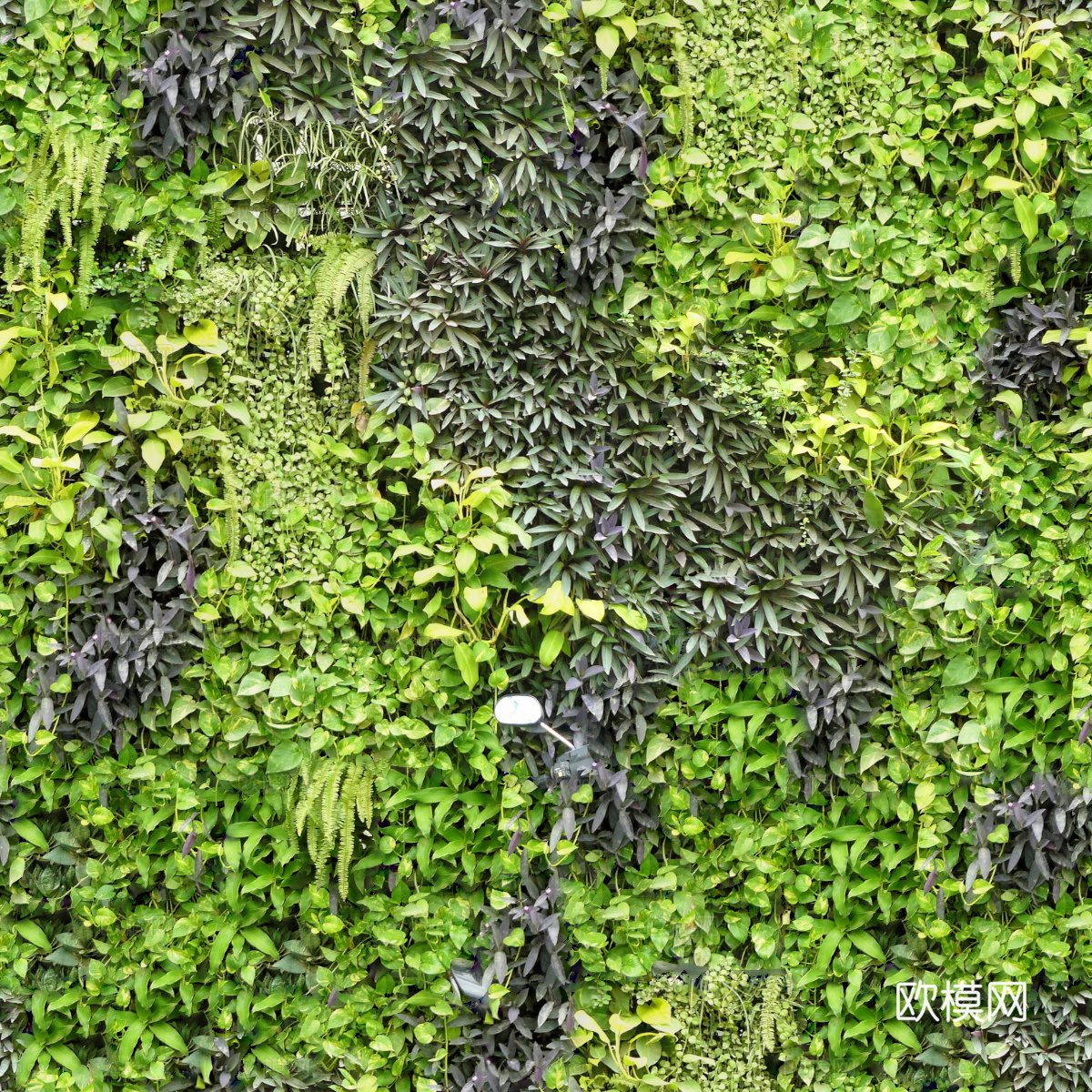 垂直绿植墙，生态绿植墙绿化墙108下载