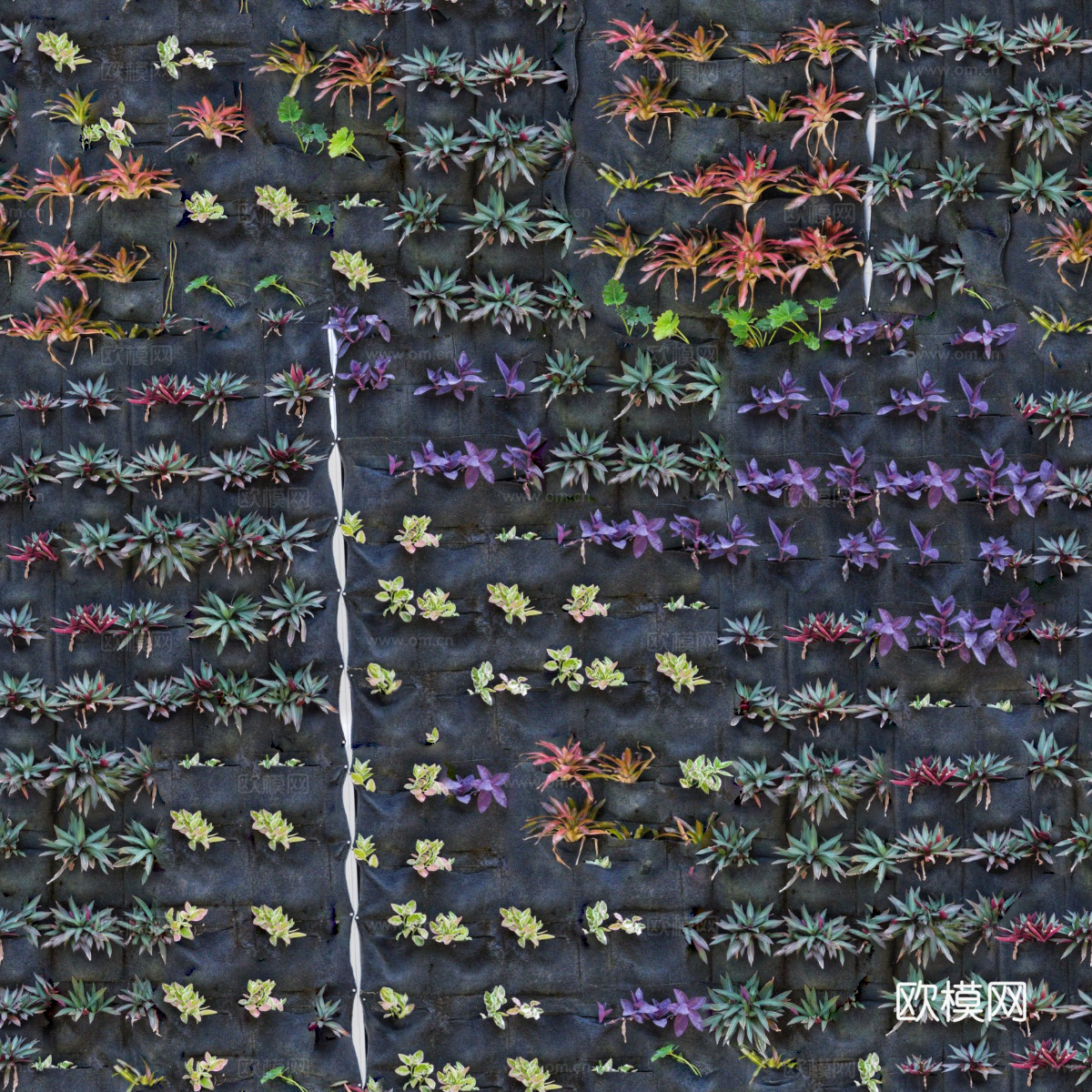 垂直绿植墙，生态绿植墙绿化墙196