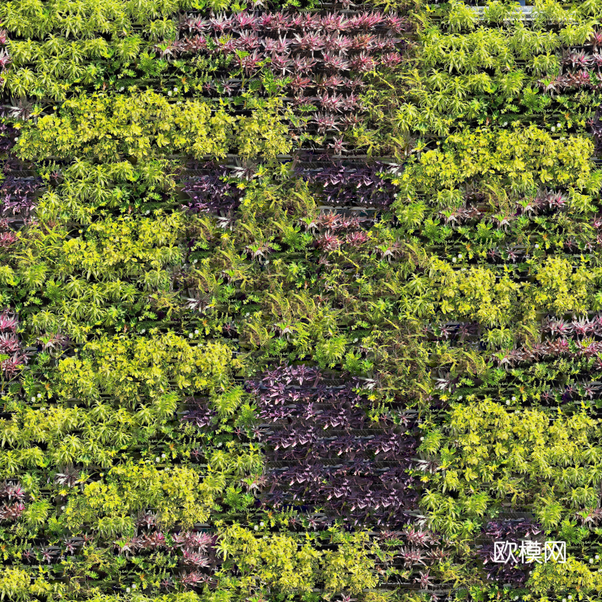 垂直绿植墙，生态绿植墙绿化墙254下载