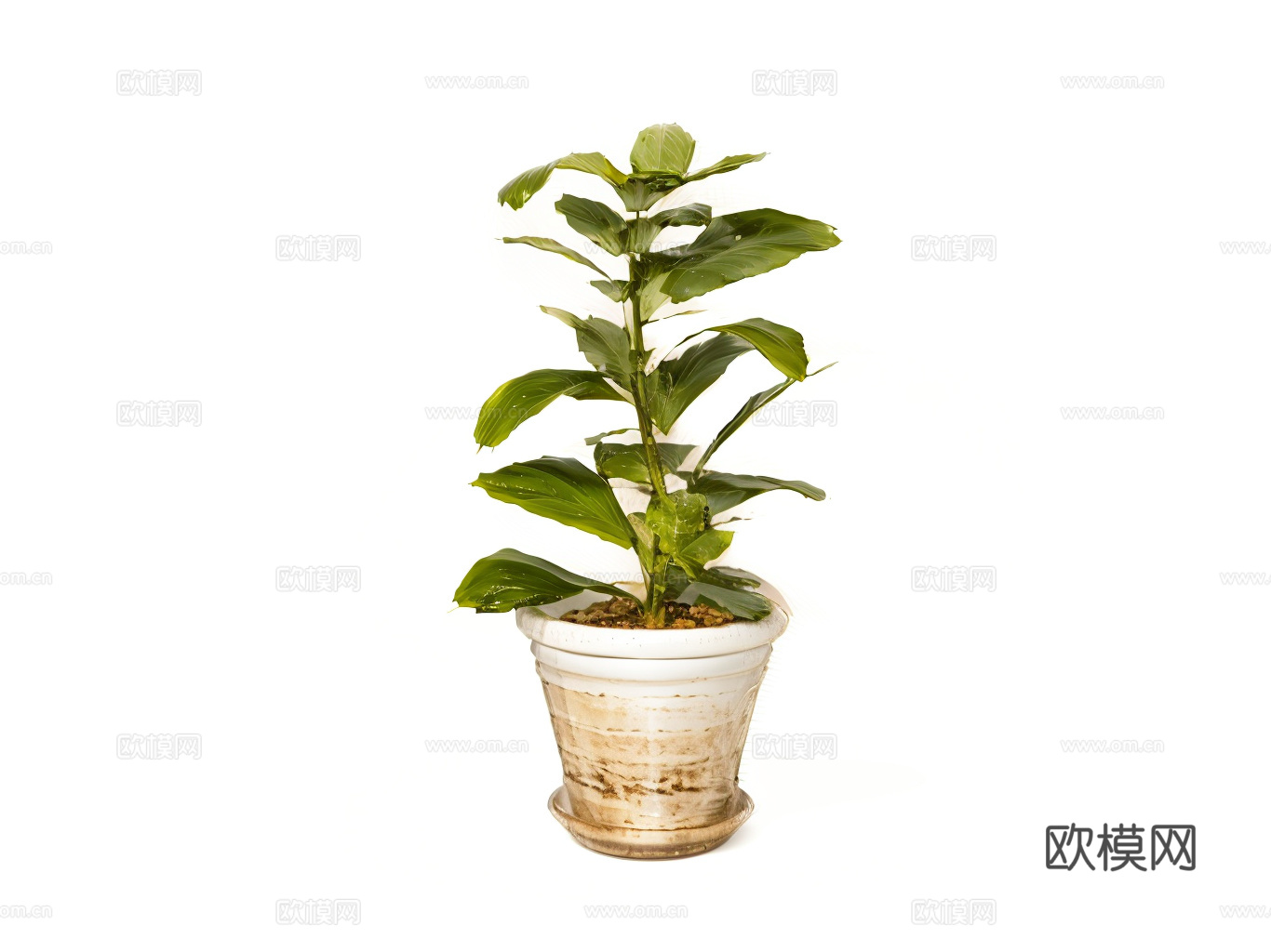 雕塑摆件动物设备家具小品 (1)su模型