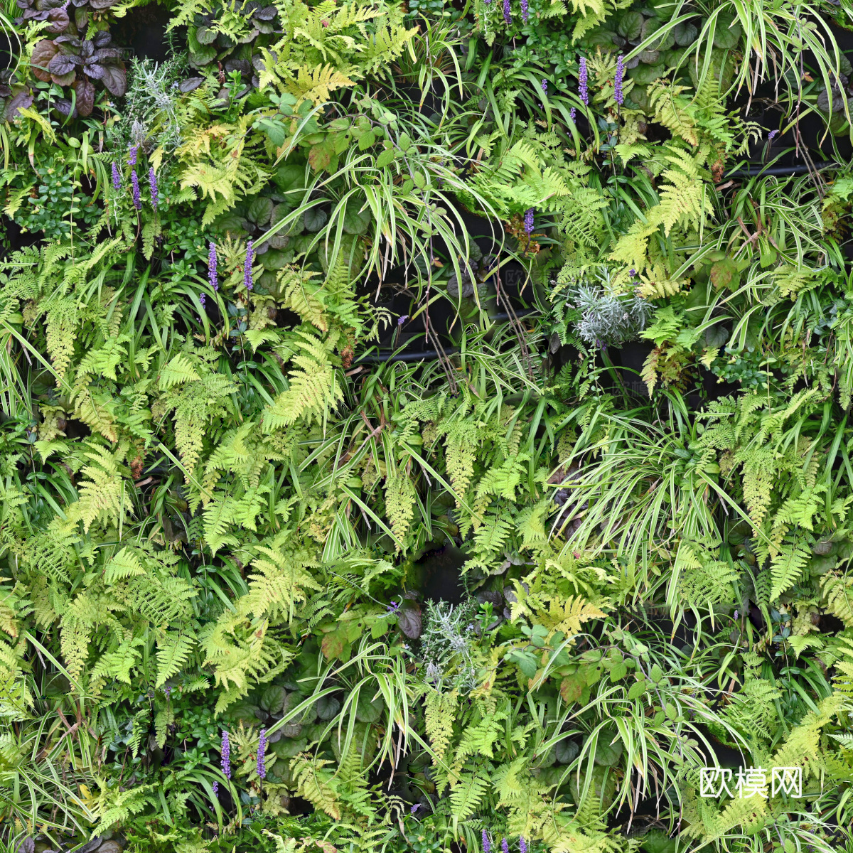 垂直绿植墙，生态绿植墙绿化墙218下载