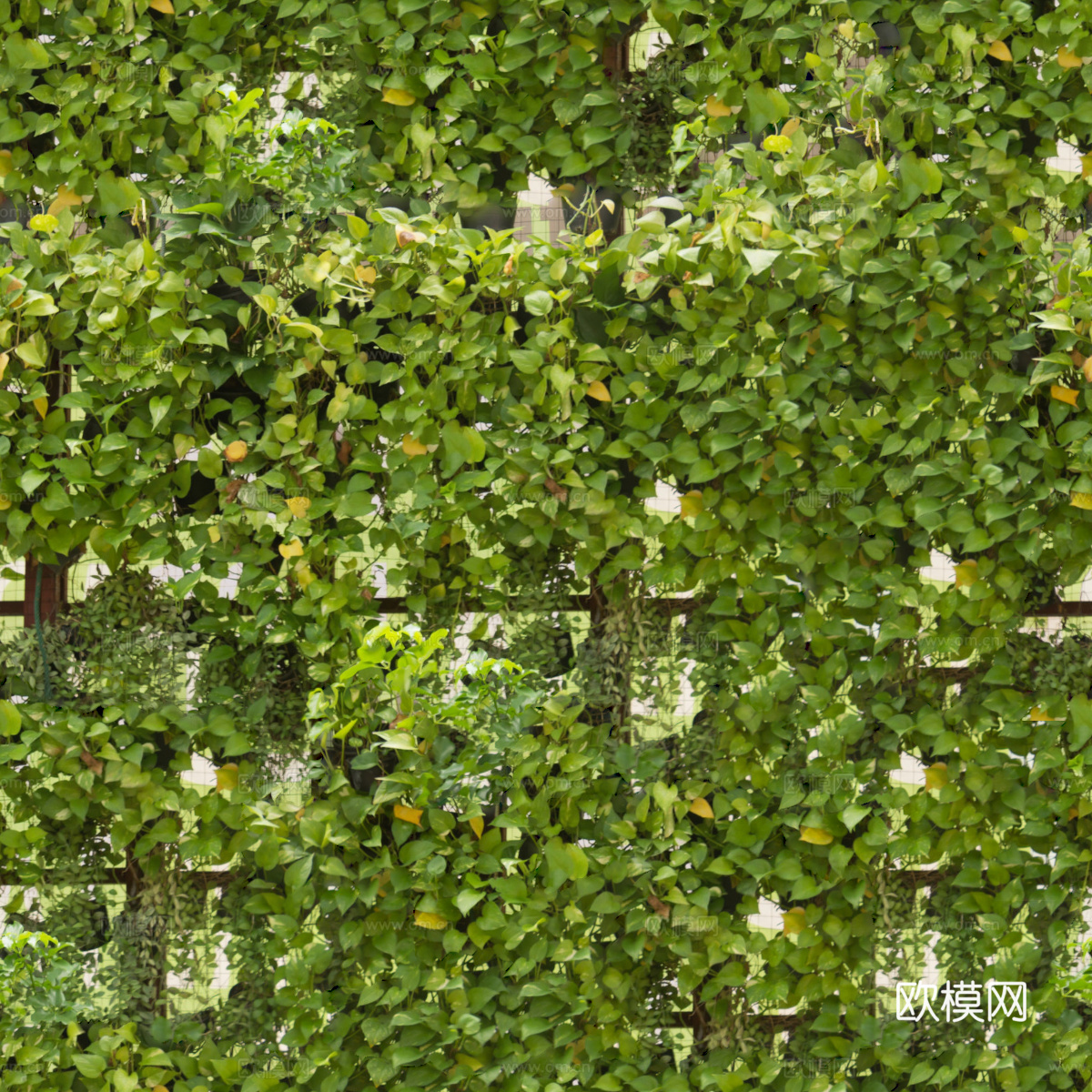 垂直绿植墙，生态绿植墙绿化墙78下载