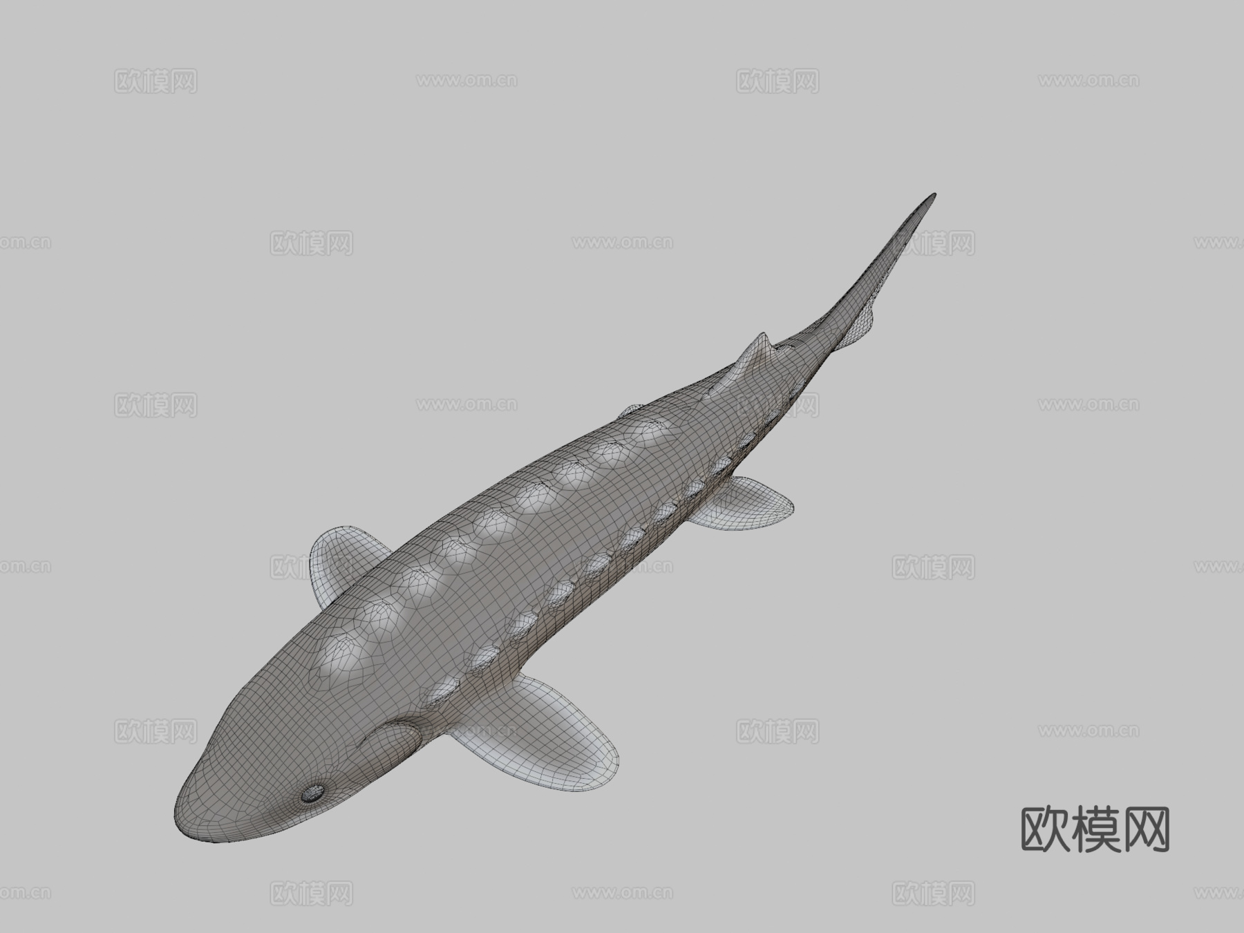 鲟鱼船3d模型下载（渲染图2）