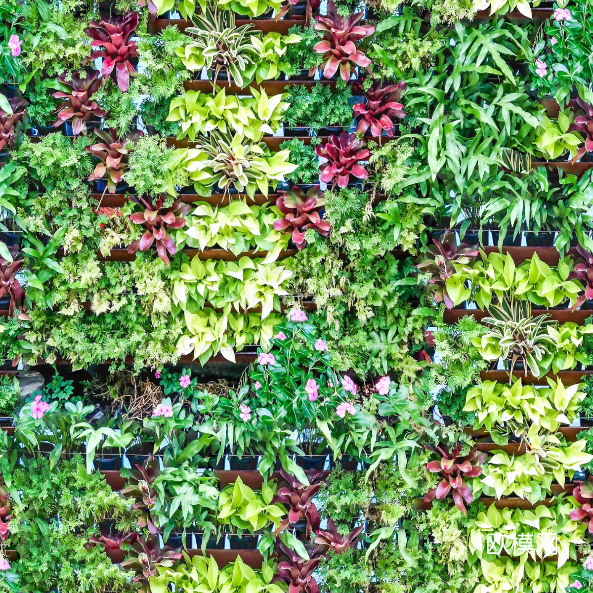 垂直绿植墙，生态绿植墙绿化墙95下载