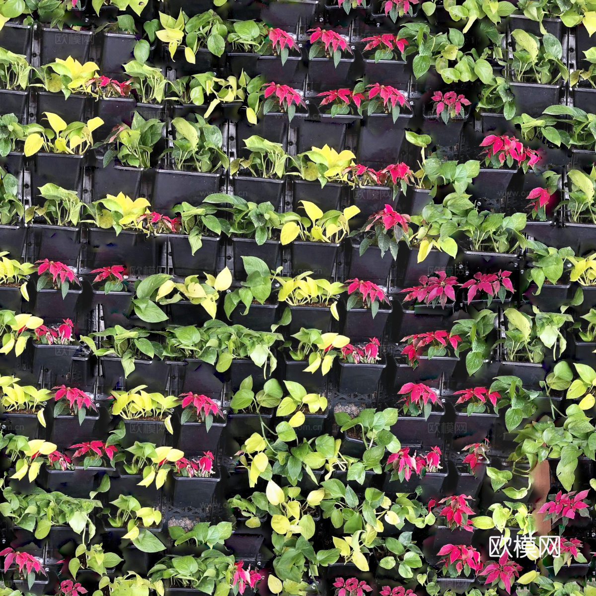 垂直绿植墙，生态绿植墙绿化墙178