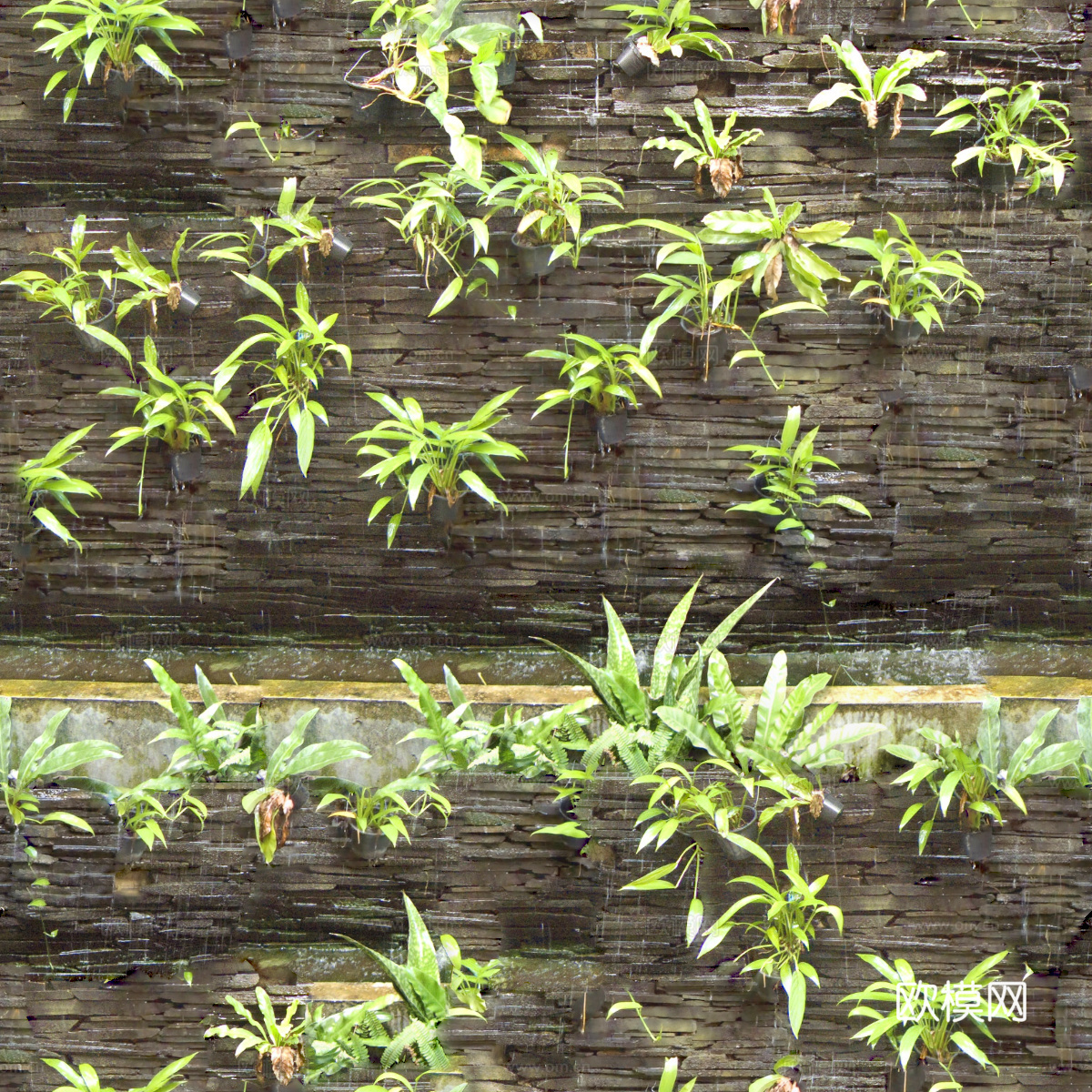 垂直绿植墙，生态绿植墙绿化墙105