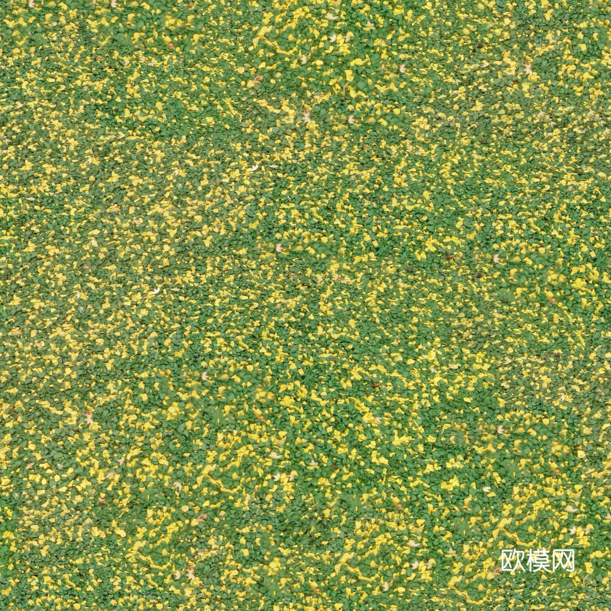 地衣，杂草，野草地66