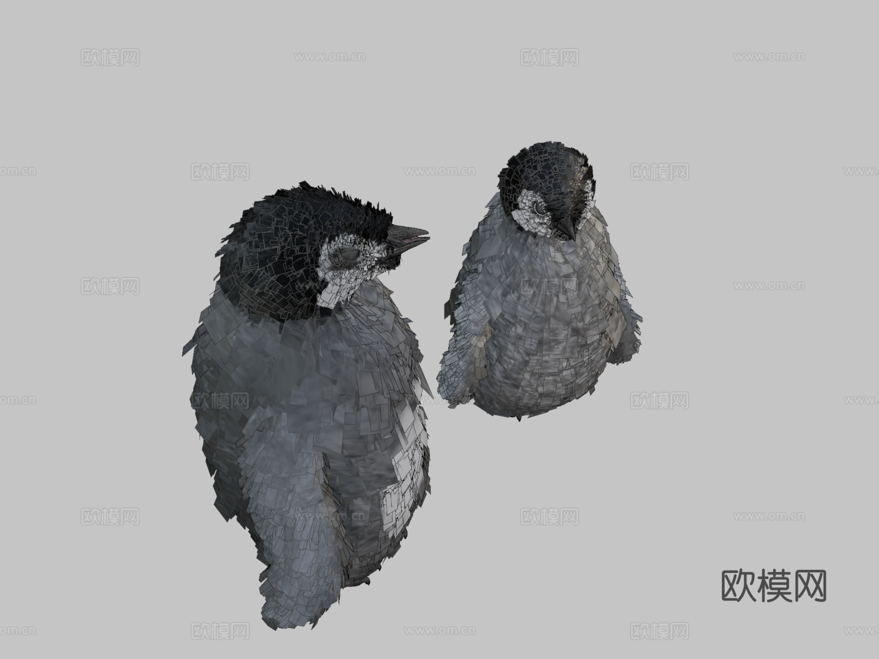 小帝企鹅幼年3d模型下载（渲染图2）