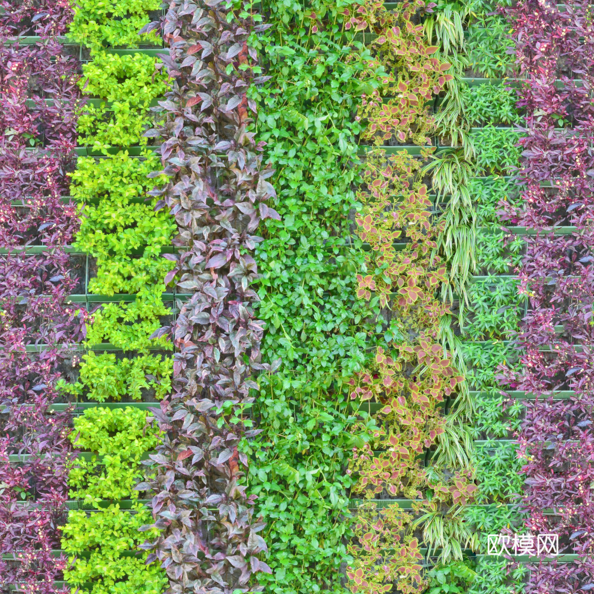 垂直绿植墙，生态绿植墙绿化墙66下载