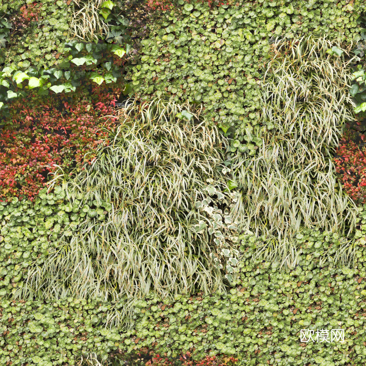 垂直绿植墙，生态绿植墙绿化墙176下载