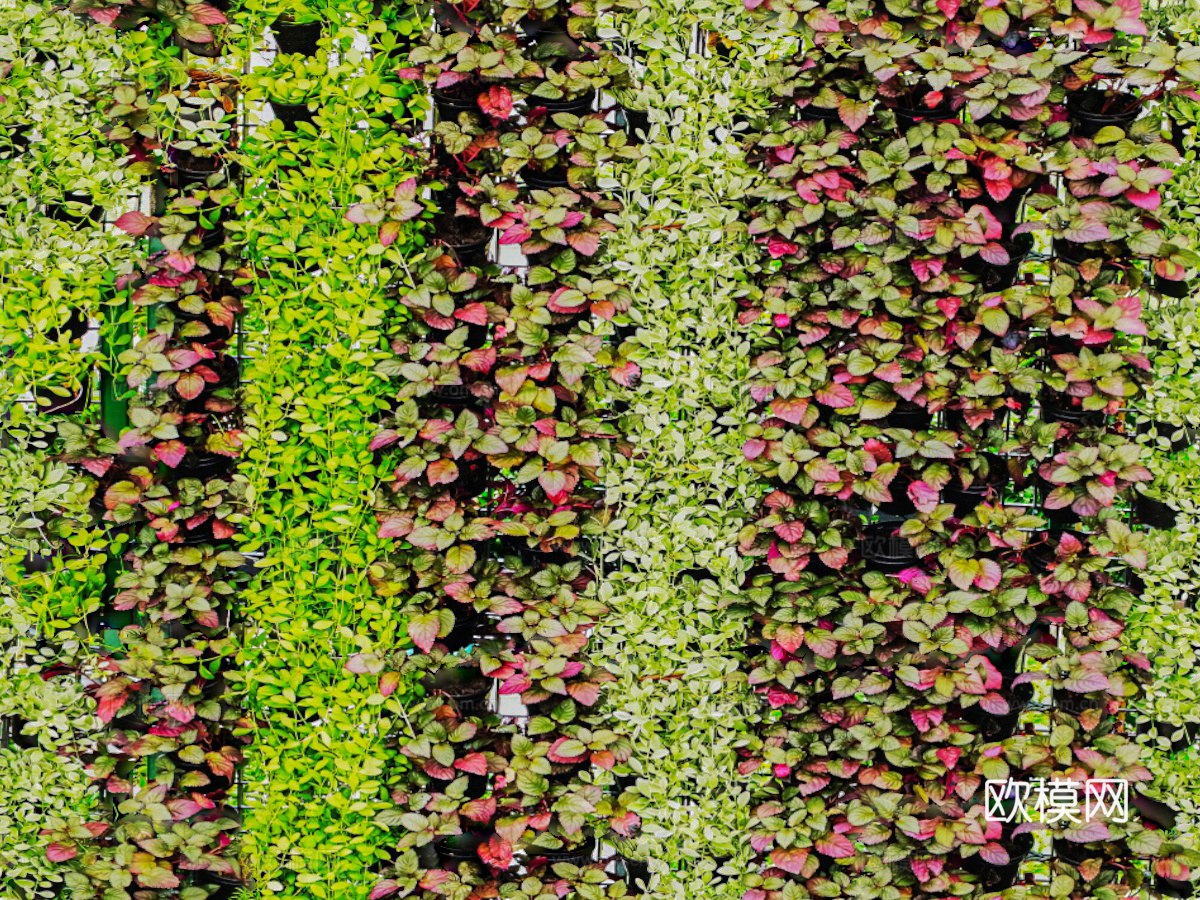 垂直绿植墙，生态绿植墙绿化墙2