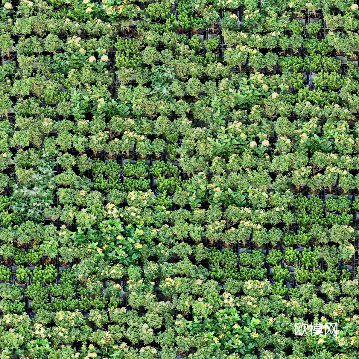 垂直绿植墙，生态绿植墙绿化墙191下载