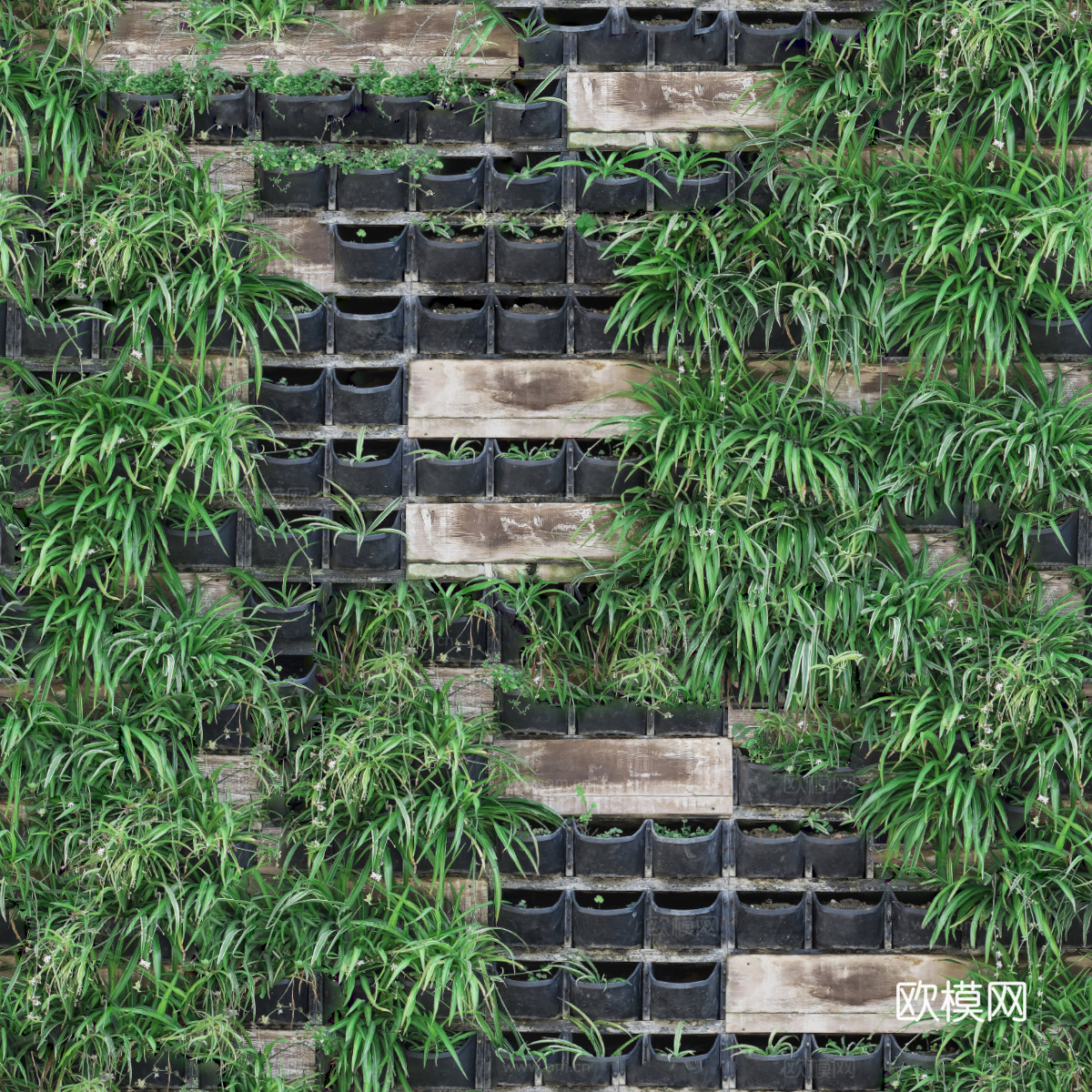 垂直绿植墙，生态绿植墙绿化墙213下载