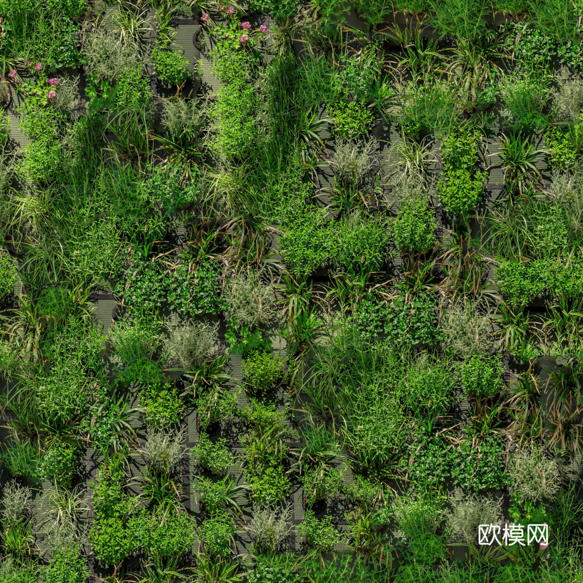 垂直绿植墙，生态绿植墙绿化墙234下载