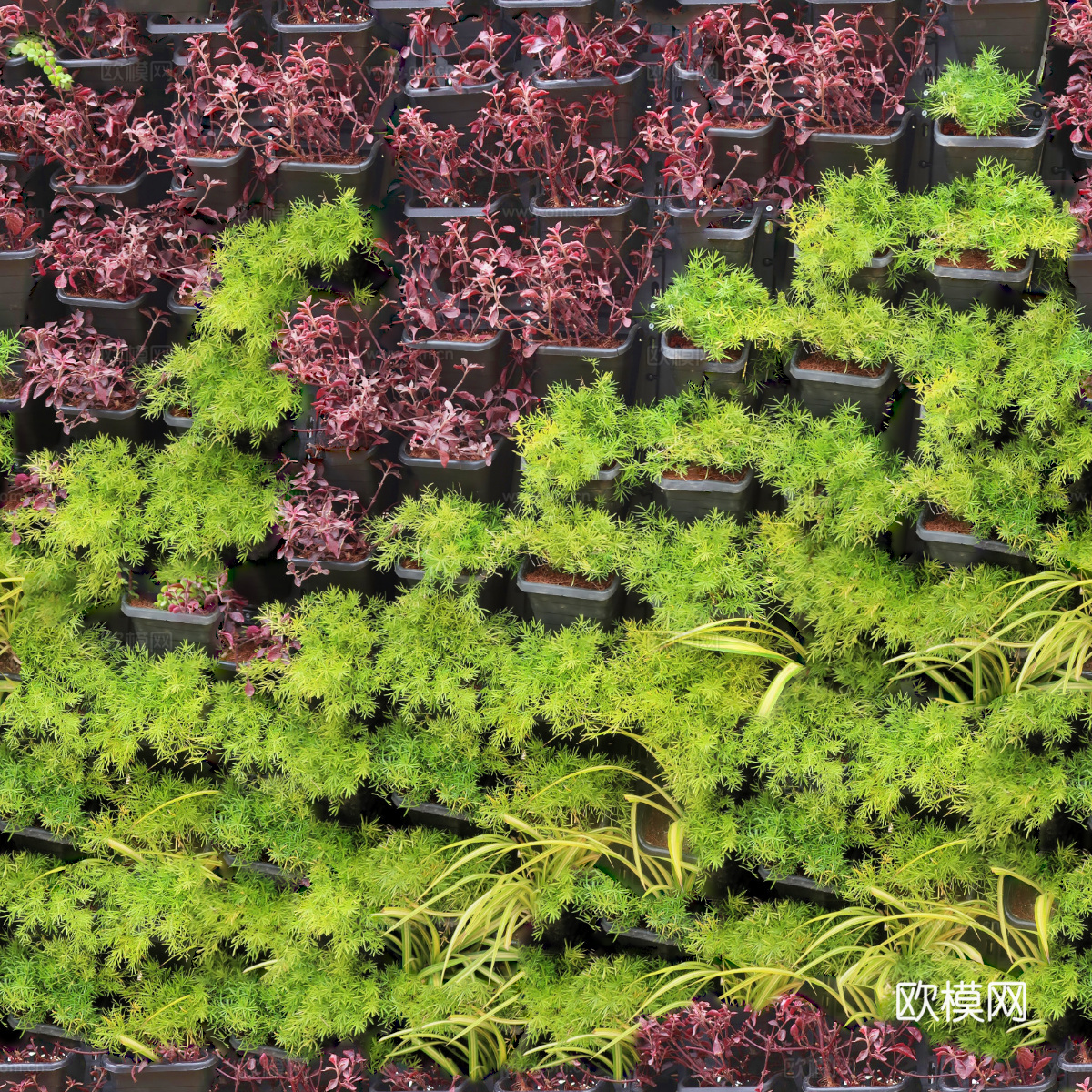 垂直绿植墙，生态绿植墙绿化墙179下载