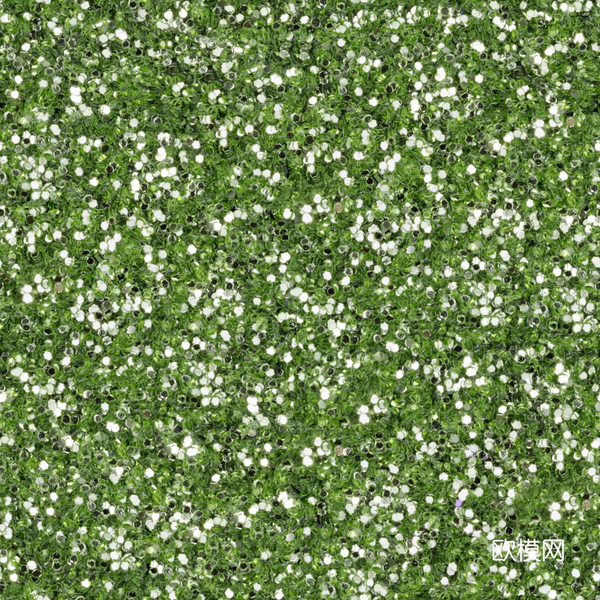 地衣，杂草，野草地62