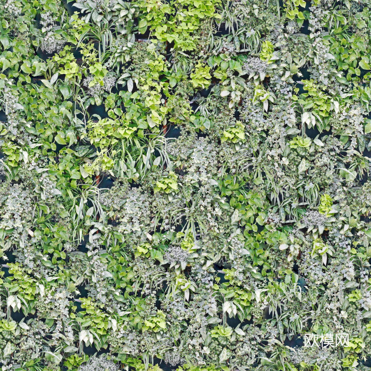 垂直绿植墙，生态绿植墙绿化墙170下载